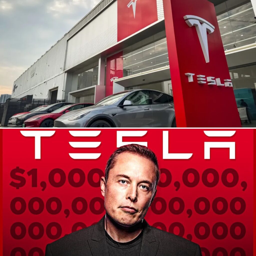 493541035_713187718056059_2275326076876309813_n